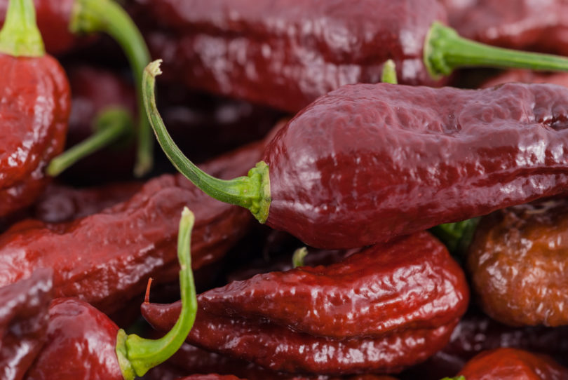 2007-CAP-AN-271 - Capsicum annuum - variedad de chile