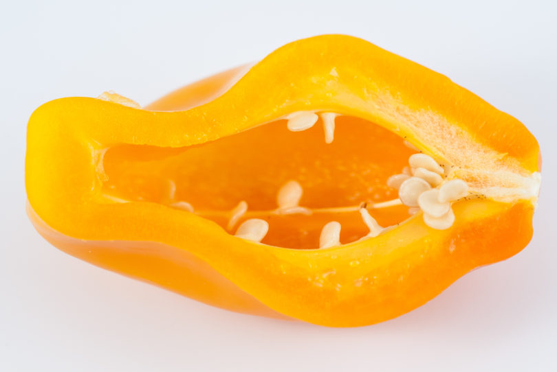 Agni Sikha Ii - Capsicum annuum - variedad de chile