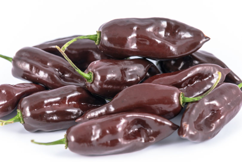 2007-CAP-AN-18 - Capsicum annuum - variedad de chile