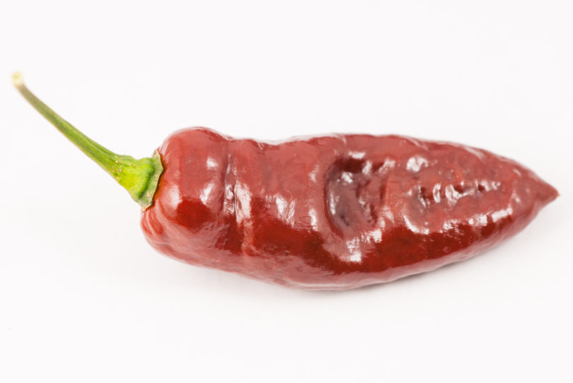 5-F - Capsicum annuum - variedad de chile