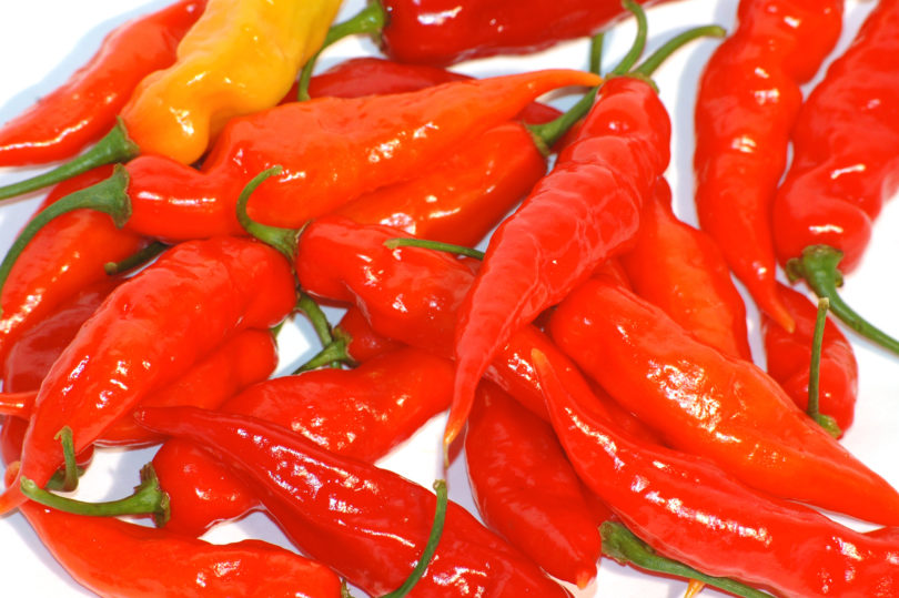 34-6-7-1-1-Bk - Capsicum annuum - variedad de chile