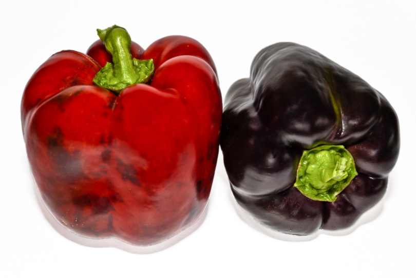 Ancho Colorado - Capsicum annuum - variedad de chile