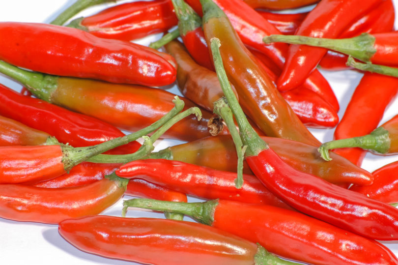 Ají - Capsicum annuum - variedad de chile