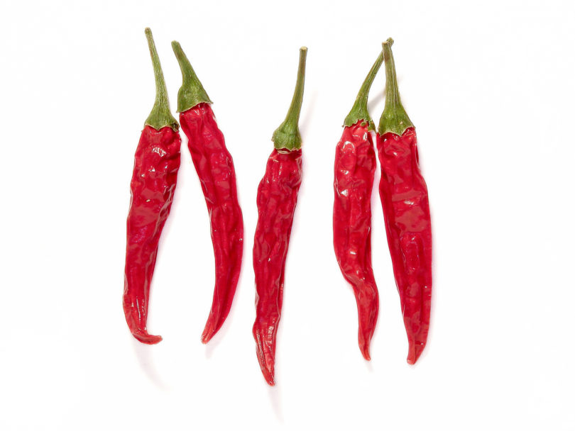 1354 - Capsicum annuum - variedad de chile