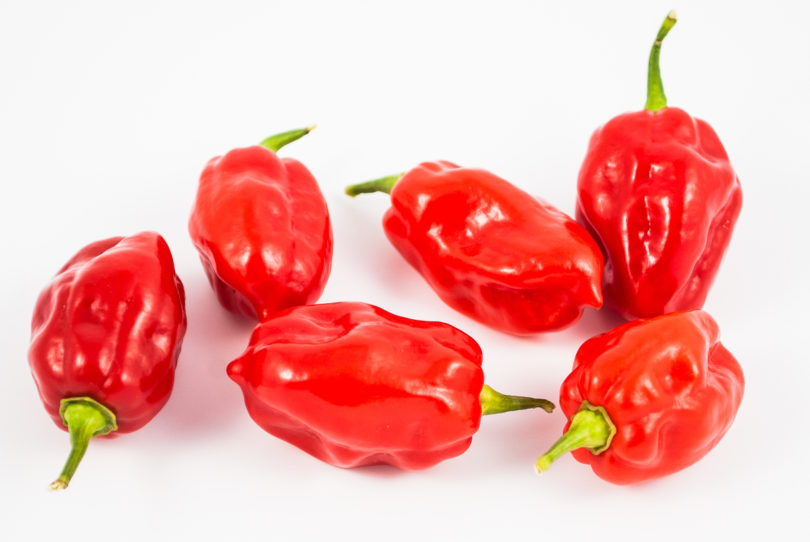 2007-CAP-AN-71 - Capsicum annuum - variedad de chile