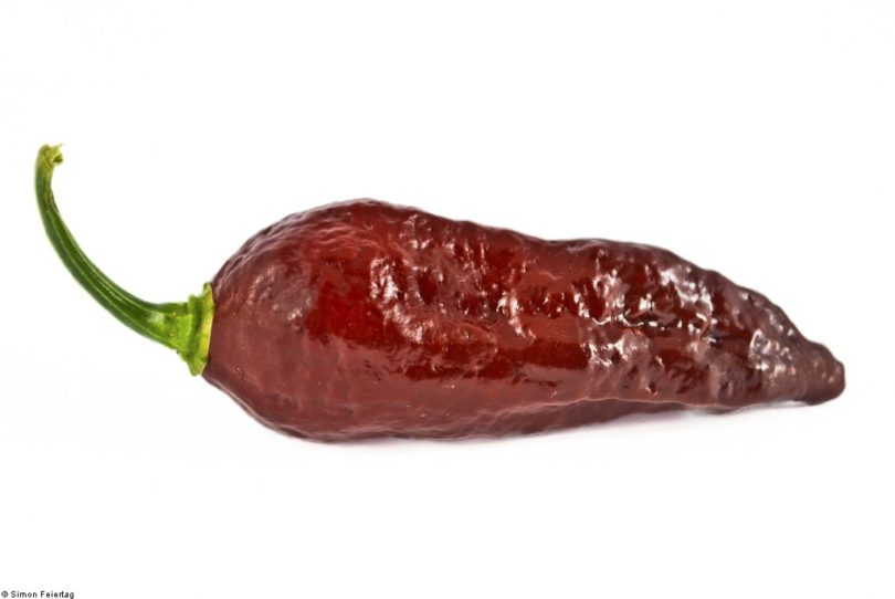 Bhut Jolokia Chocolate