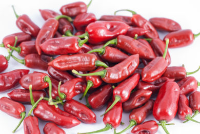 Mesten - Capsicum annuum - variedad de chile