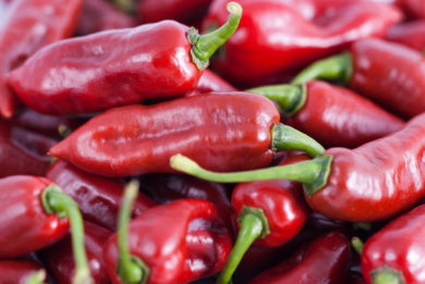 NC080359 - Capsicum annuum - variedad de chile
