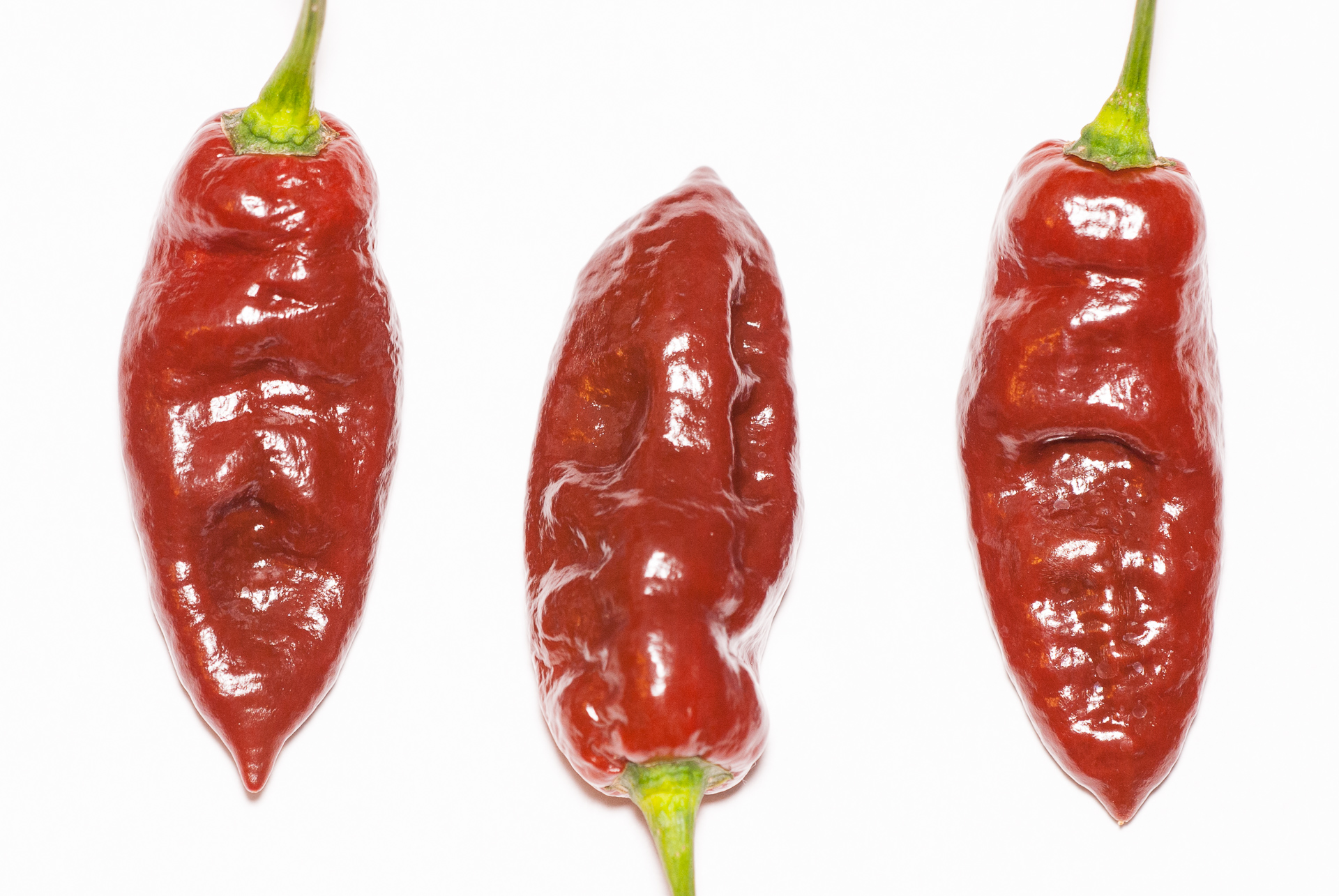 Germano Rosso - Capsicum annuum - variedad de chile