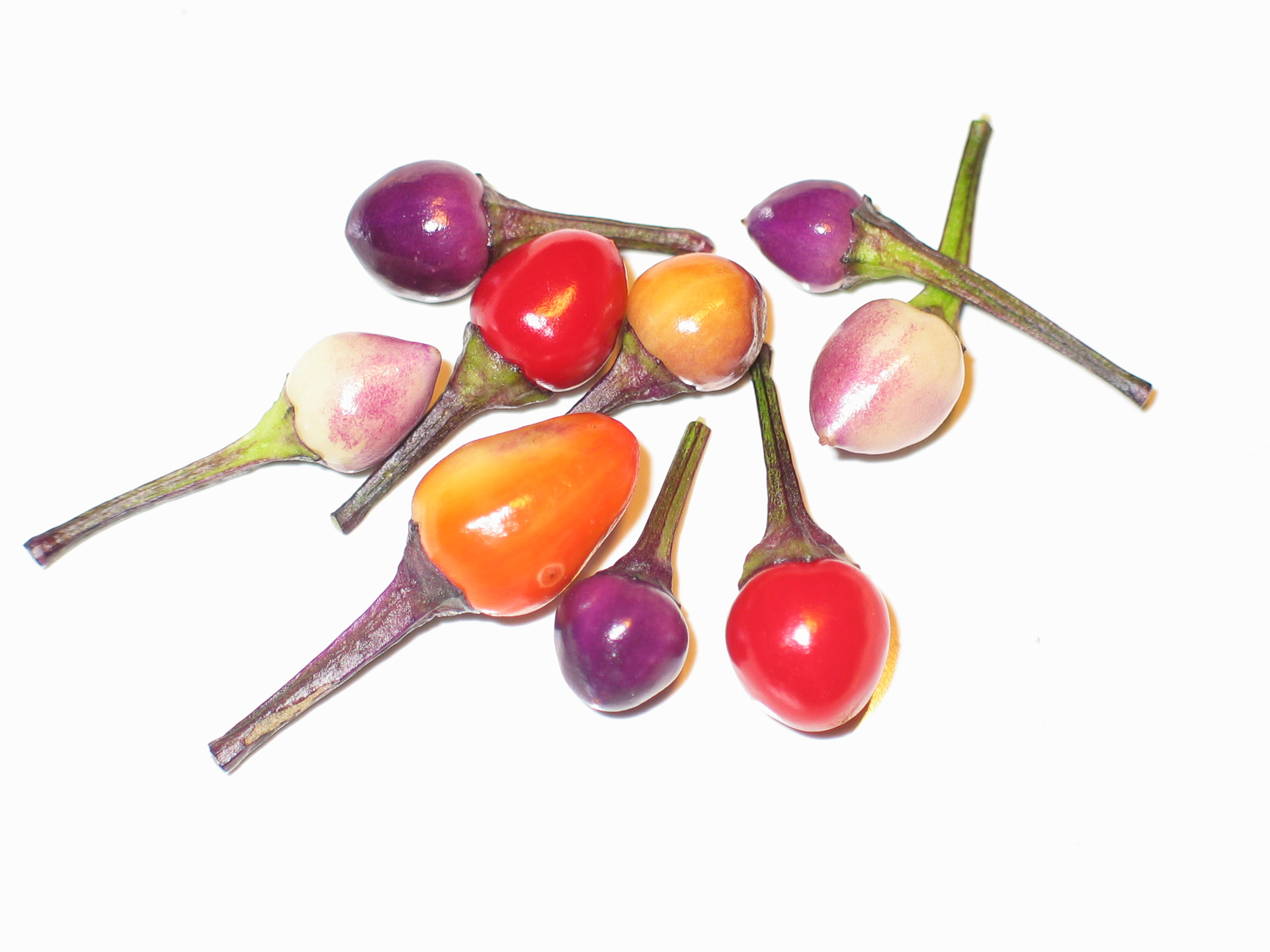 Local - Capsicum annuum - variedad de chile