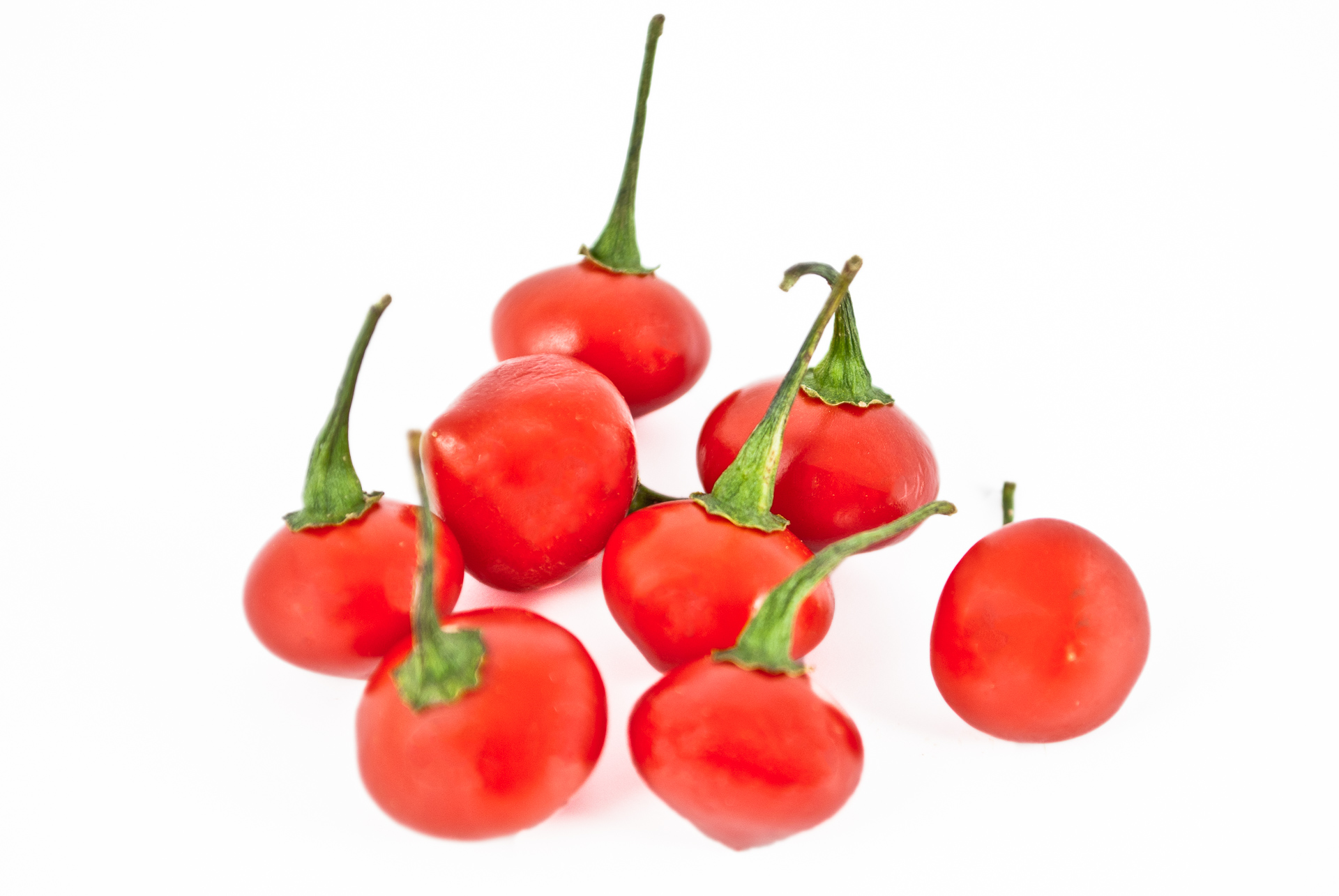 Pimenta Vermelha - Capsicum chinense - Chilisorte
